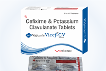 	VATICAN'SVICEF-CV TAB.png	 - top pharma products os Vatican Lifesciences Karnal Haryana	